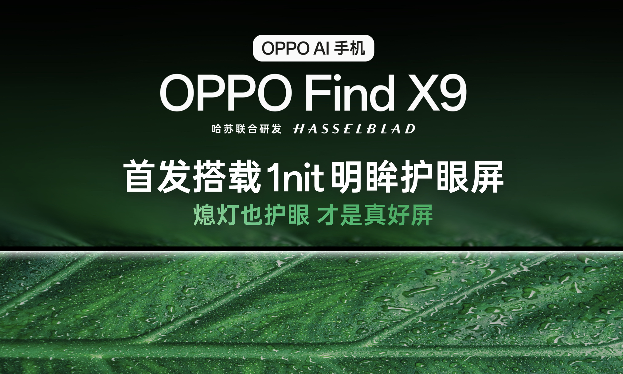 天马+OPPO撕开高端显示裂缝，中国智造藏了42年的“视觉革命”来了