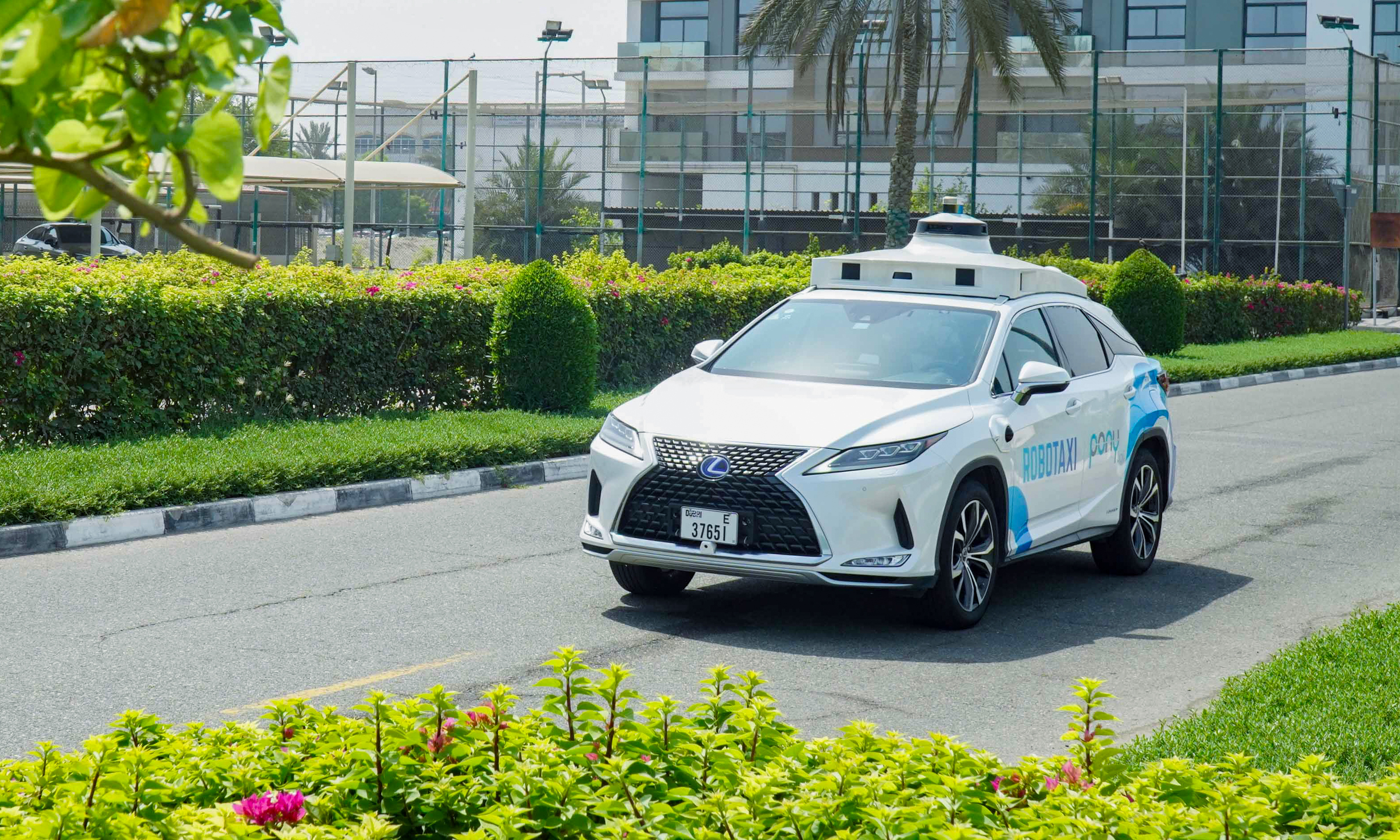 出海再下一城！小马智行进军迪拜，RoboTaxi要冲规模了
