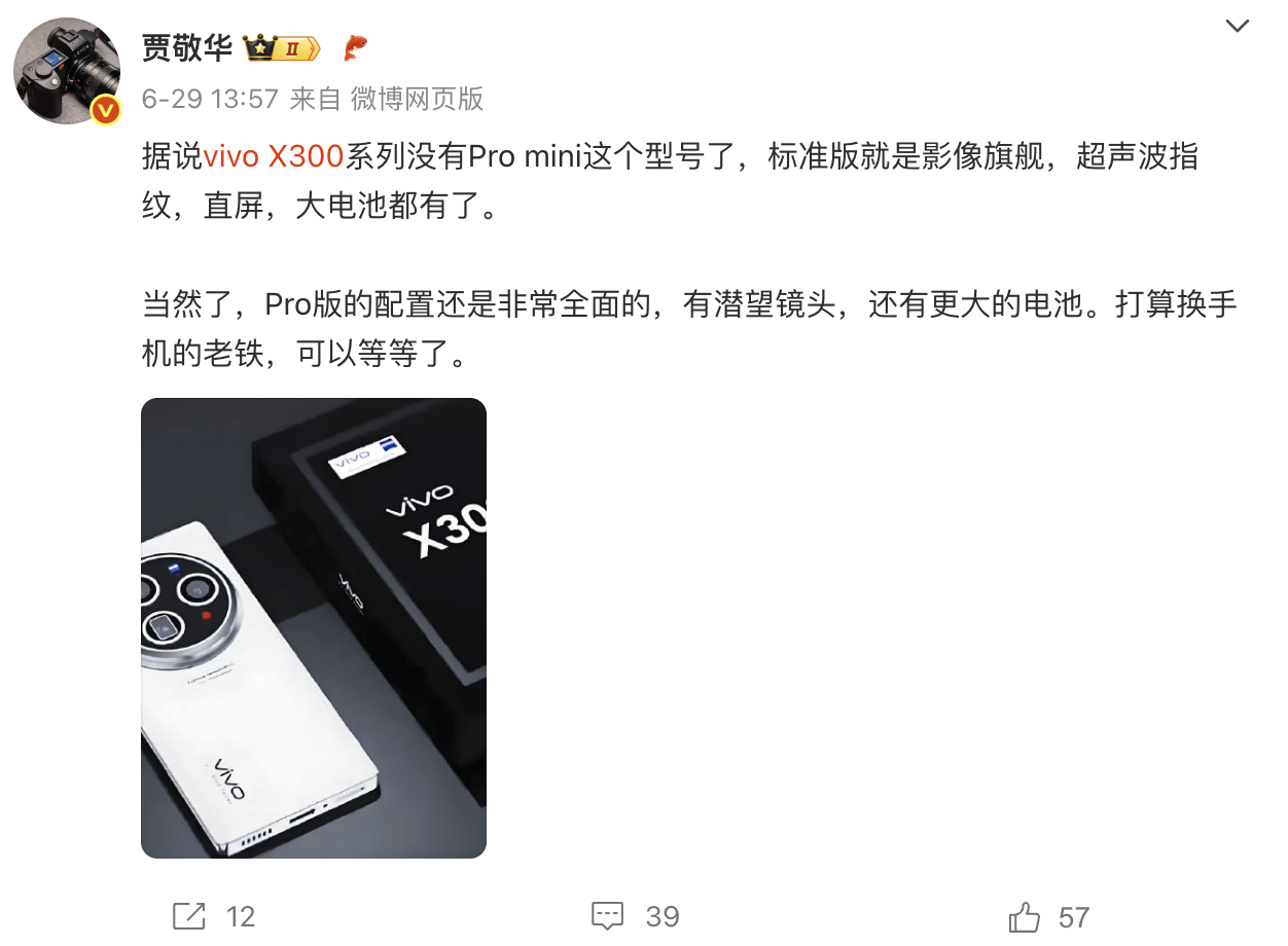 vivo没有Pro mini.png