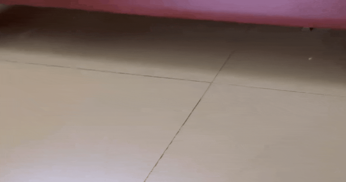 1.gif