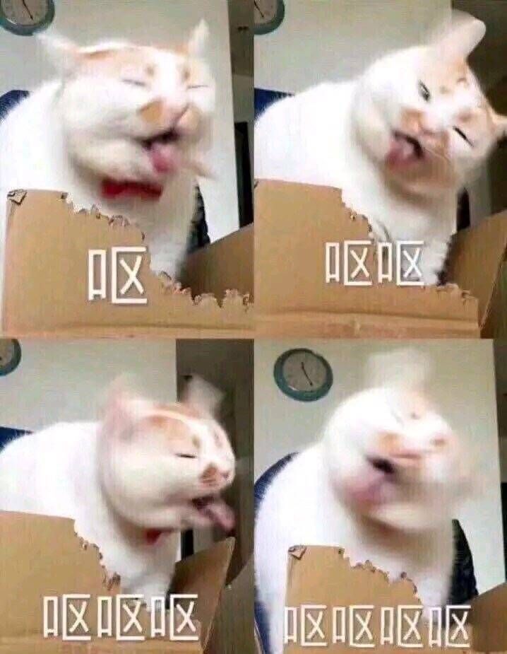 猫咪呕吐四连_猫咪_四连_呕吐表情