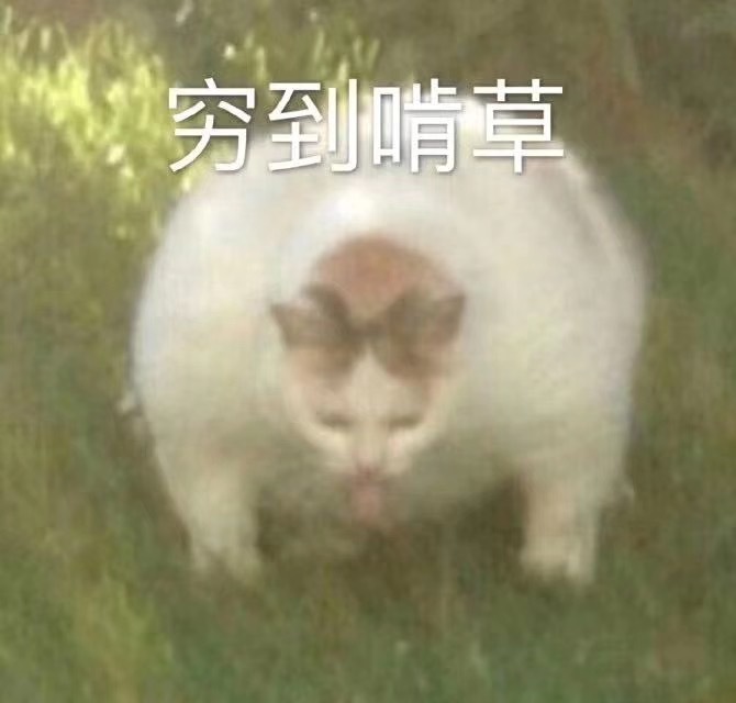 006I1bcHgy1ge2jqnp9llj30im0hsdh7.jpg