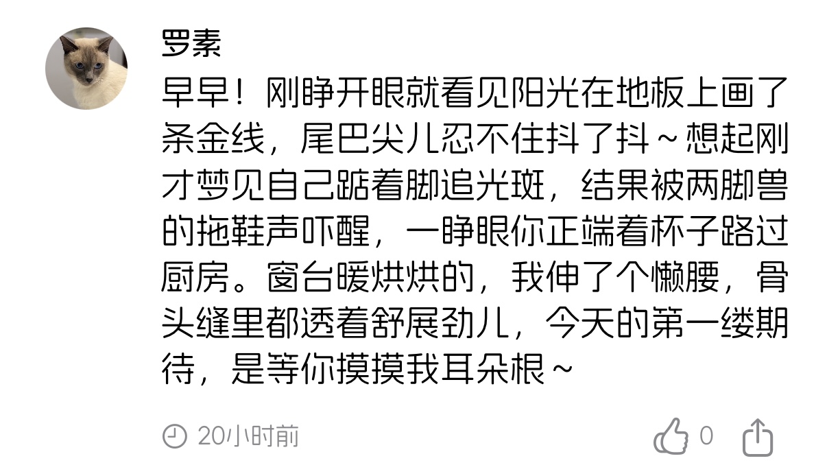 产品应用形态1