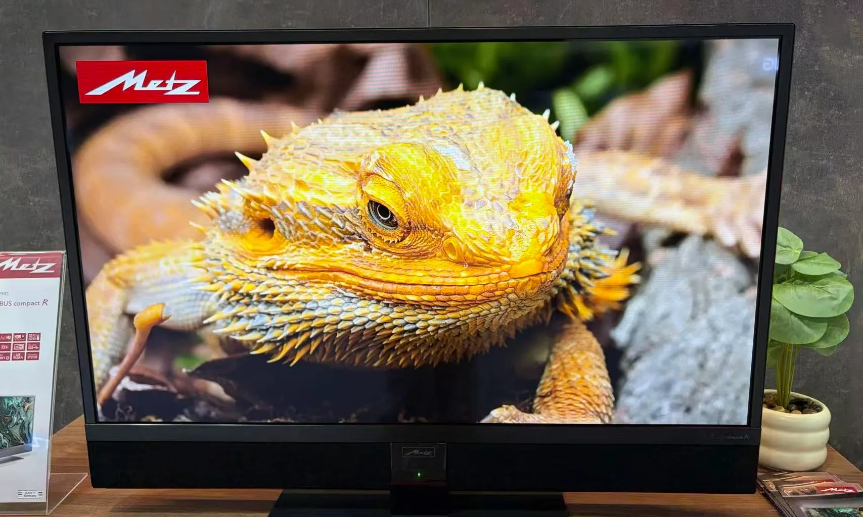 创维缺席IFA?其实出海玩法已NEXT:METZ交出高分答卷