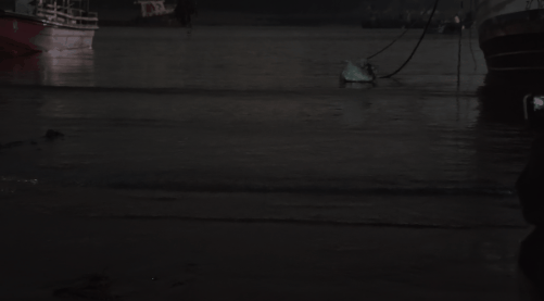 7.gif